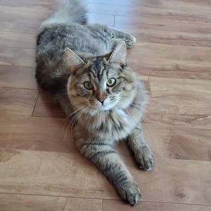 Meet your Posher, Chantal